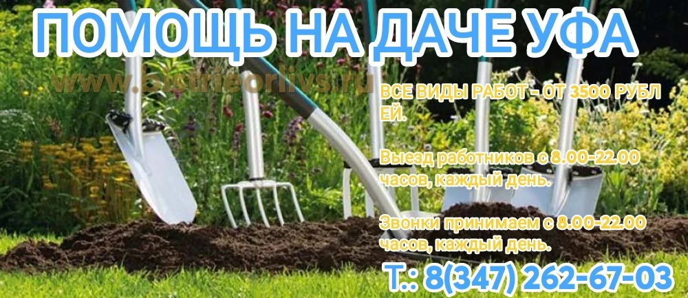 Помочь на даче